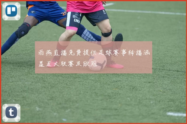 雨燕直播免费提供足球赛事转播涵盖五大联赛及欧冠