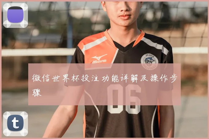 微信世界杯投注功能详解及操作步骤
