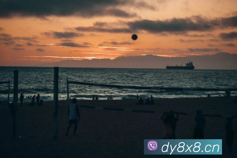 世界杯指定官网发展历程