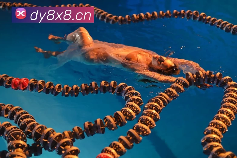 15年男篮亚锦赛半决赛回顾：关键球员表现与晋级形势解析